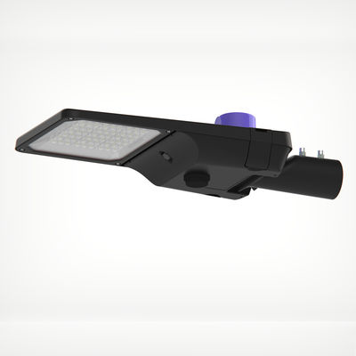 60-90W SL-29-60 LED Street Light Housing Kelas I 45 / 60mm 12-14m DALI