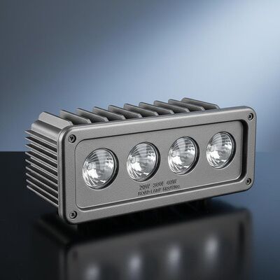 Rumah industri die-casting khusus untuk lampu jalan 20W, 30W, 40W, dengan 4 lensa.
